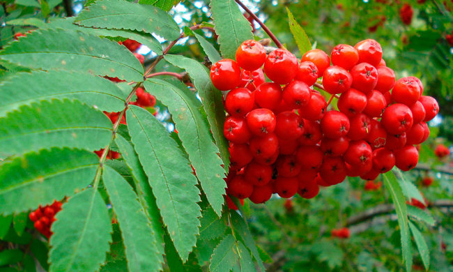 Праздники 23 сентября 2019 года!