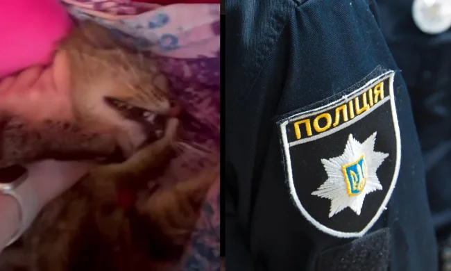 Поліція відкрила кримінальне провадження за жорстоке поводження з тваринами