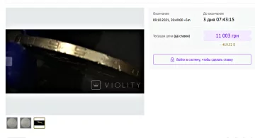 Монеты Украины. Фото: violity.com