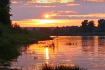 Природа. Фото: скриншот YouTube-видео