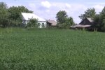 Село в Україні. Фото: скріншот YouTube-відео