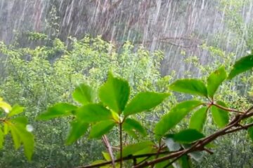 Погода на 29 мая 2020 года