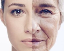 Ученые назвали основную причину старения