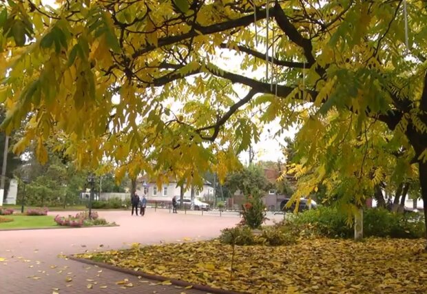 Осень в Украине. Фото: скриншот YouTube-видео