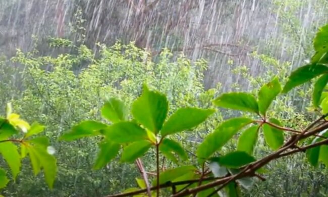 Погода на 29 мая 2020 года