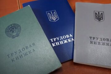 Трудовая книжка. Фото: скриншот YouTube-видео