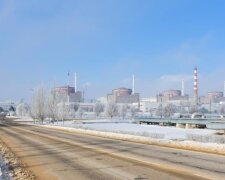 "На грани повторения Фукусимы": в Минэнерго бьют тревогу из-за блэкаутов на ЗАЭС