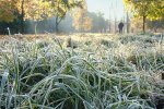 Заморозки