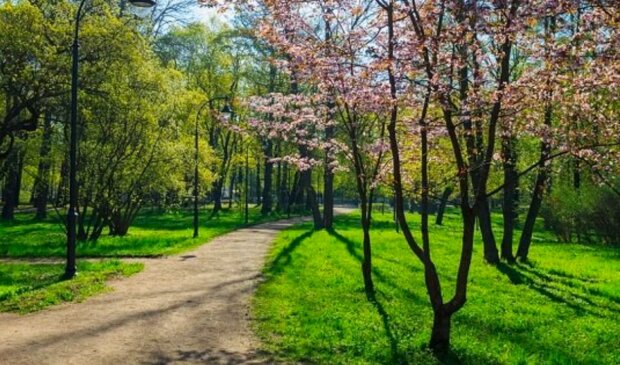 Погода, весна, потепління. Фото: Стіна