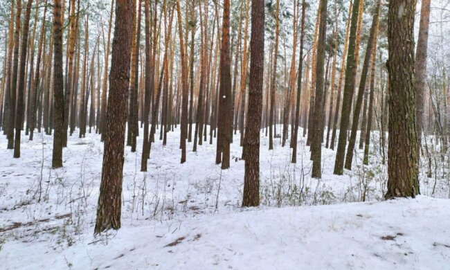 Прогноз погоды. Фото: скриншот Youtube-видео