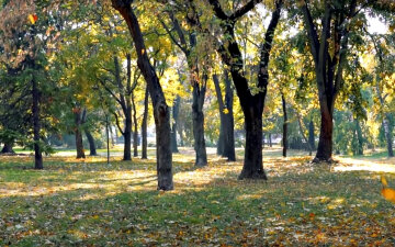 Погода в Украине. Фото: скриншот YouTube-видео.