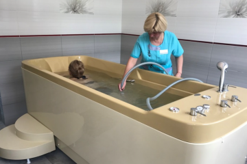 Санатории для пенсионеров: где взять путевку на оздоровление. Фото: "Хмельник"