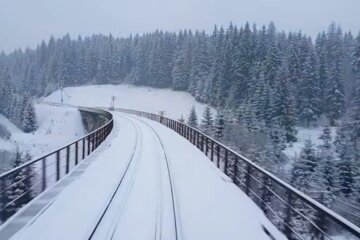 Природа. Фото: скріншот YouTube-відео