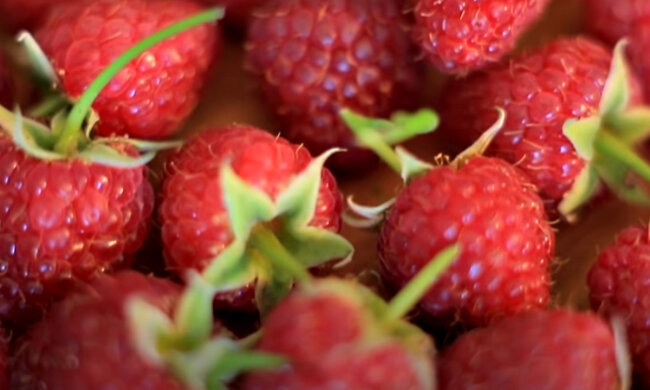 Малина. Фото: скриншот YouTube-видео.