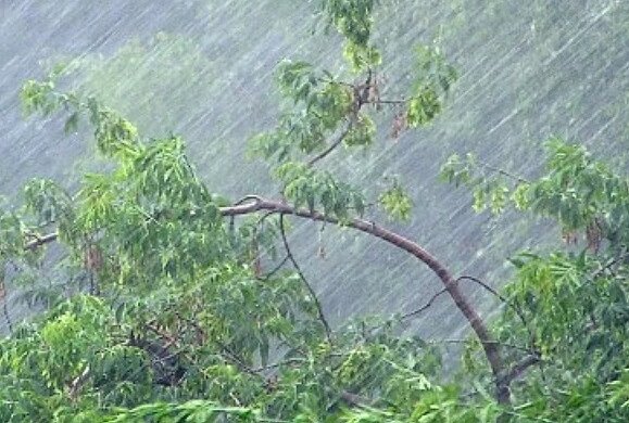 Ливень. Фото: скриншот YouTube