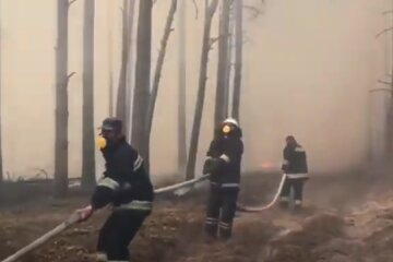 На Донбассе горит лес. Фото: скриншот YouTube-видео