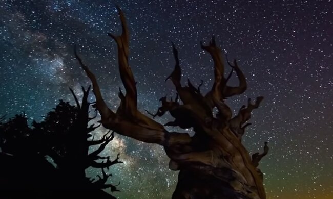 Зоряне небо. Фото: скріншот YouTube-відео