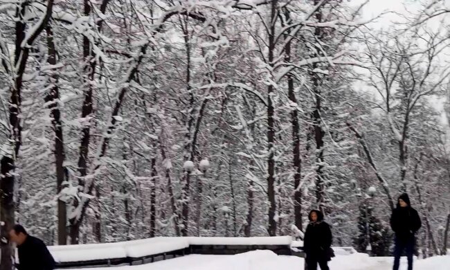 Январь. Фото: Youtube