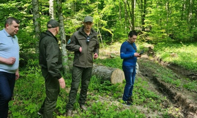 Госэкоинспекция усиливает сотрудничество с правоохранительными органами