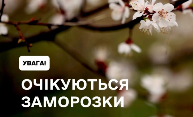 Заморозки, менше вітру та нове похолодання: синоптик Діденко попередила про погоду на завтра