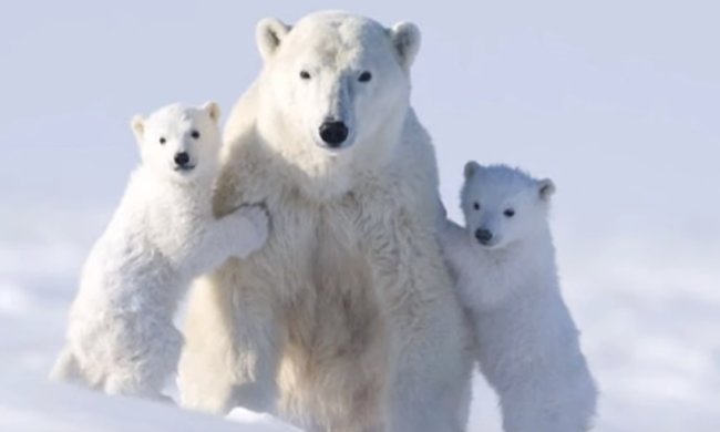 Праздники 27 февраля 2020 года