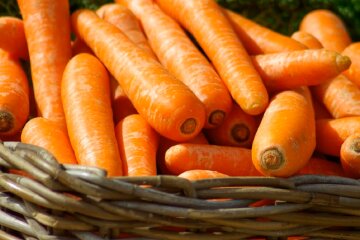 Морква. Фото: YouTube