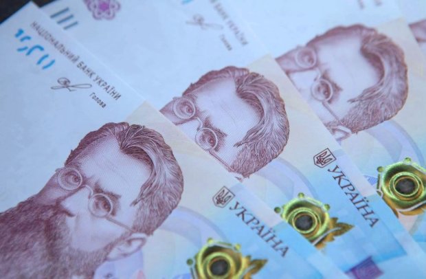 Украинские деньги. Фото: UA.News