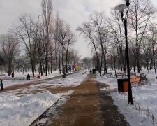 Парк "Наталка" в Киеве зимой . Фото: скриншот YouTube-видео