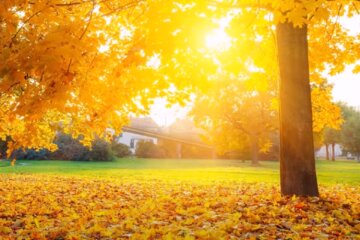 Погода на 12 октября 2020 года