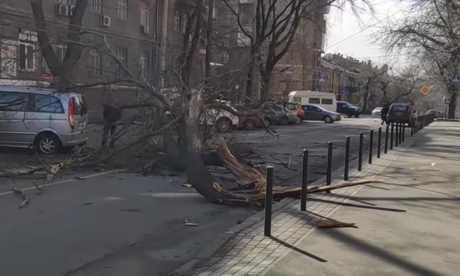 Непогода в Одессе. Фото: скрин youtube.