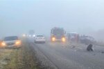 Фото: Нацполиция