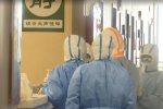 Украинцев не будут эвакуировать с лайнера, стоящего у берегов Японии. Фото: скрин ТСН