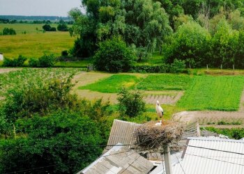 Погода, літо, синоптики. Фото: Стіна