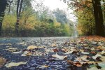 Синоптики предупредили о похолодании. Фото: скриншот YouTube