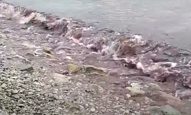 Море в Одесской области окрасилось в красный. Фото: скрин youtube