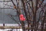 Погода на 14 февраля, фото: скриншот YouTube