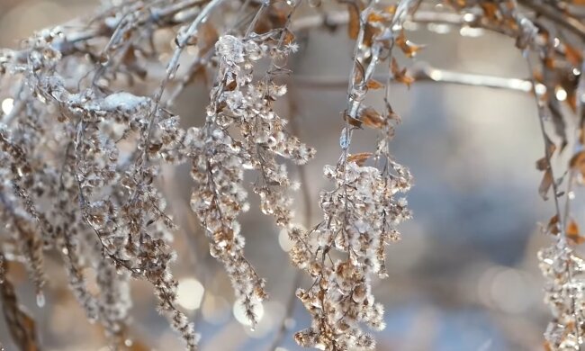 Морозная погода. Фото: скриншот YouTube-видео