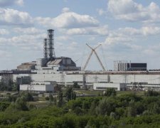 В Чернобыльской зоне поставили скрытую камеру: многие удивятся происходящему