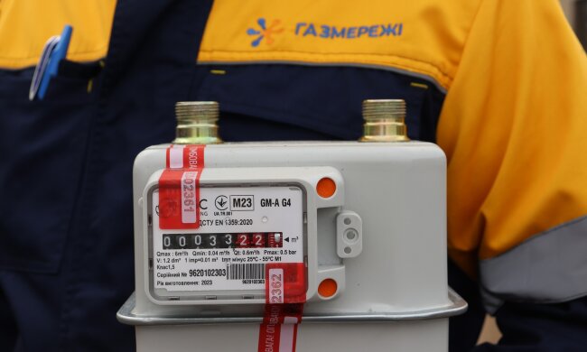 Украинцев ждут массовые поверки газовых счётчиков. Фото: Газсети