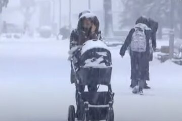 Снегопад в Украине. Фото: скриншот YouTube-видео