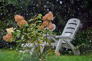 Зима стремительно врывается: сразу несколько популярных курортов Украины оказались в снеговом плену (фото)