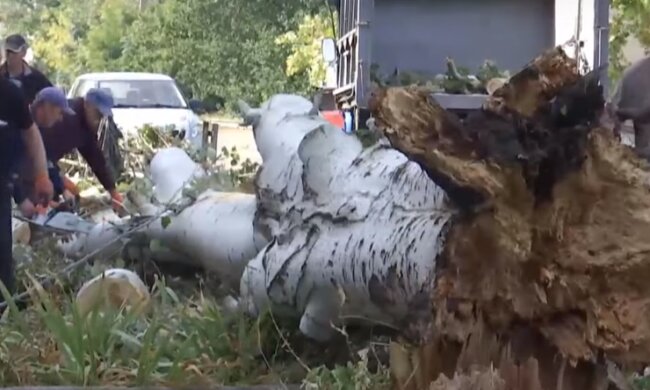 Последствия бури в Украине. Фото: YouTube, скрин