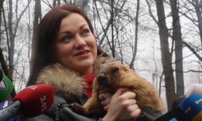 Сурок Тимка ІІІ рассказал о том, когда в Украине настанет весенняя погода. Фото: YouTube