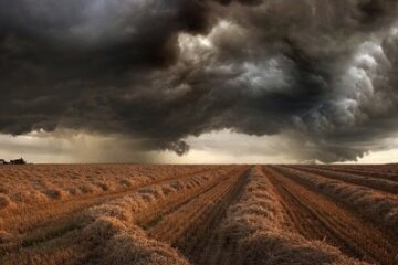 Стихия. Фото: скриншот YouTube.