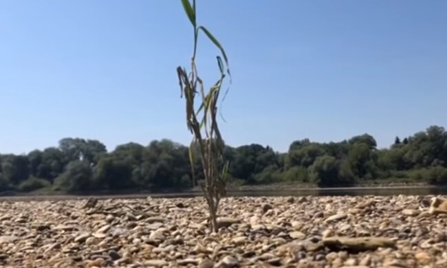 Глобальное потепление. Фото: YouTube, скрин