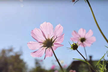 Погода в Украине. Фото: скриншот YouTube-видео.