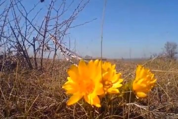 Погода на 22 февраля 2020 года