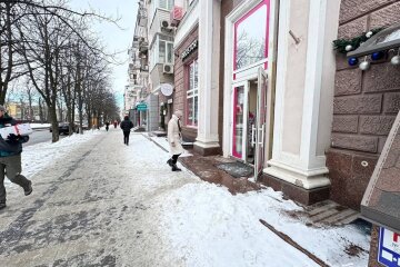 Украинцам придется заплатить за снег: почему власти хотят брать по 1700 грн