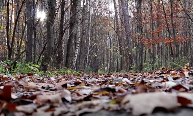 Погода в Україні. Фото: скріншот Youtube-відео