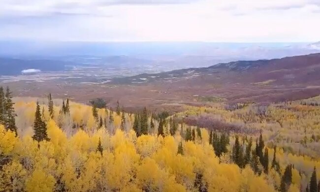 Природа. Фото: скріншот відео YouTube